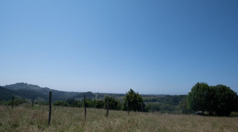 Asturias - Villaviciosa - 1511m2