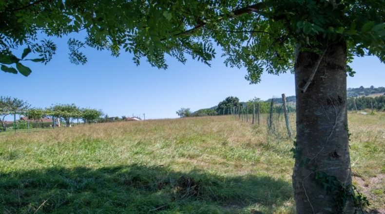 Asturias - Villaviciosa - 1511m2