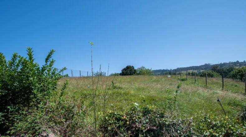 Asturias - Villaviciosa - 1511m2