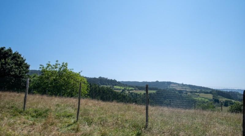 Asturias - Villaviciosa - 1511m2