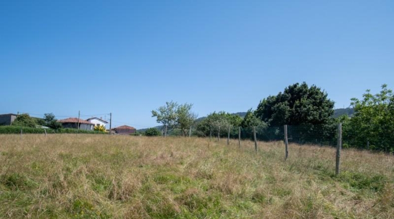 Asturias - Villaviciosa - 1511m2