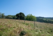 Sòl urbà en venda a la España, Villaviciosa, ref.: TR320470 foto