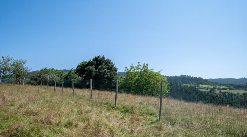 Asturias - Villaviciosa - 1511m2