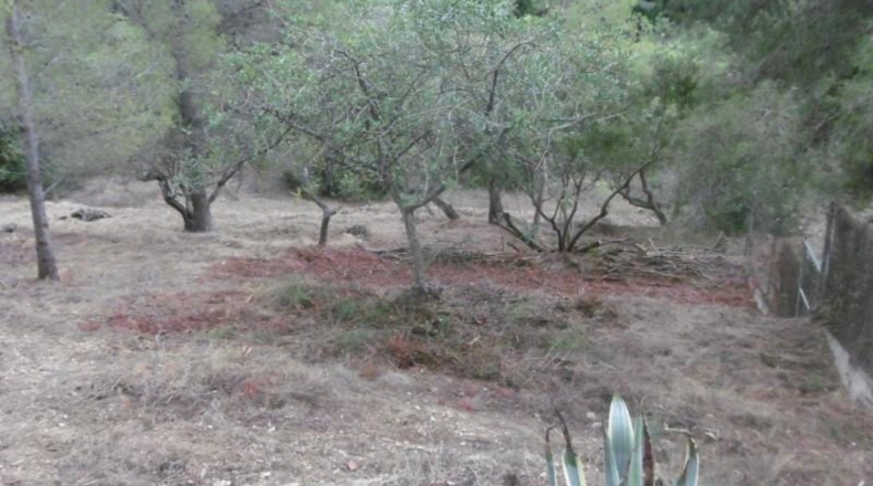 Tarragona - Tortosa - 8500m2