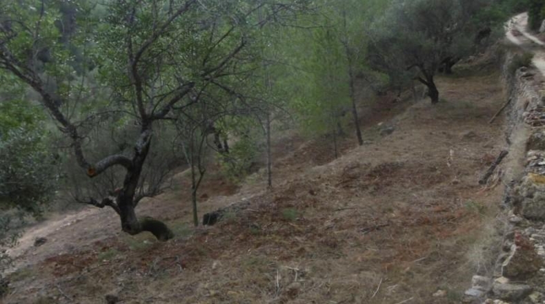 Tarragona - Tortosa - 8500m2