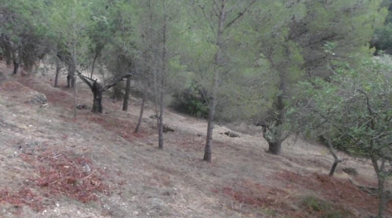 Tarragona - Tortosa - 8500m2