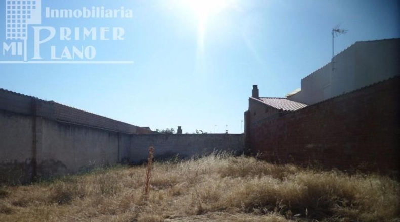 Ciudad Real - Argamasilla de Alba - 782m2