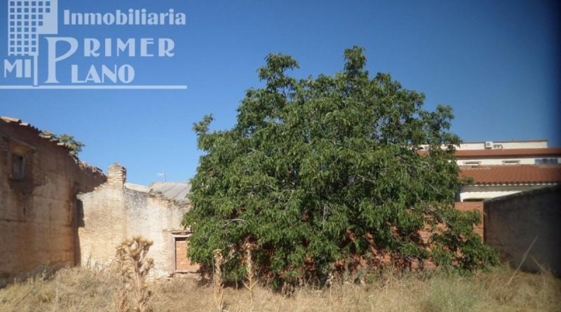 Ciudad Real - Argamasilla de Alba - 782m2