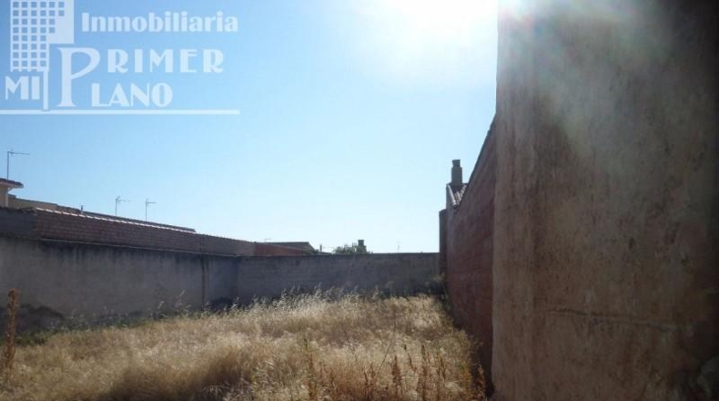 Ciudad Real - Argamasilla de Alba - 782m2