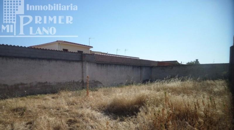 Ciudad Real - Argamasilla de Alba - 782m2
