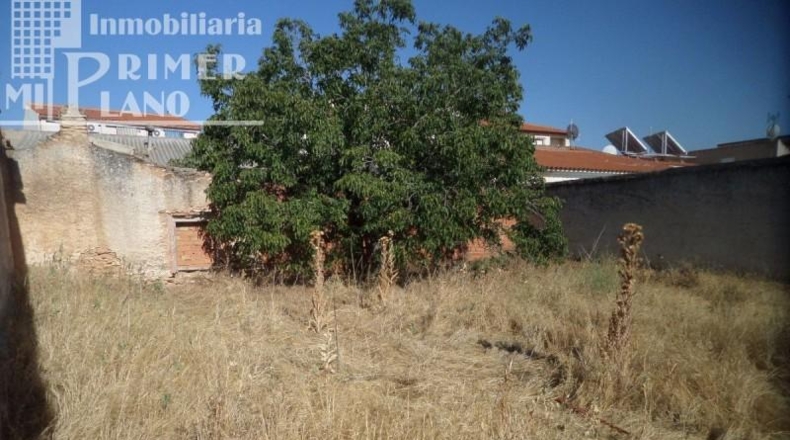 Ciudad Real - Argamasilla de Alba - 782m2