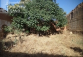 Parcel·la urbanitzable en venda a la España, Argamasilla de Alba, ref.: TR115843 foto