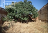 Parcel·la urbanitzable en venda a la España, Argamasilla de Alba, ref.: TR115843 foto