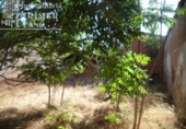 Parcel·la urbanitzable en venda a la España, Argamasilla de Alba, ref.: TR115843 foto