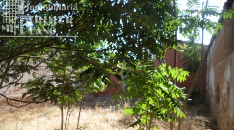Ciudad Real - Argamasilla de Alba - 782m2