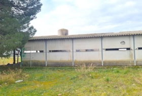 Foto 11