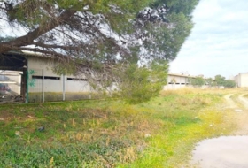 Foto 10