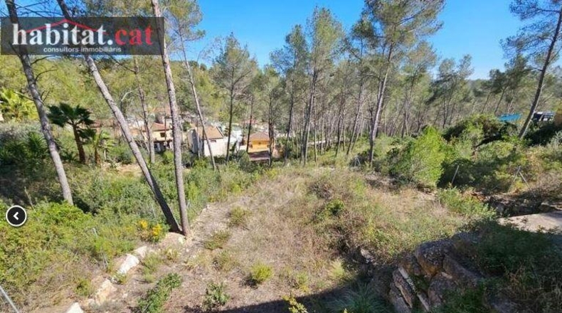 Barcelona - Olivella - 600m2