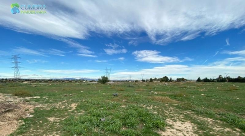 Múrcia - Murcia - 13400m2