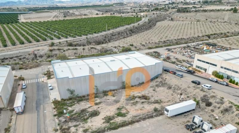 Almería - Albox - 943m2