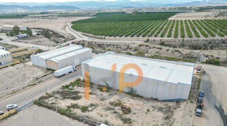 Almería - Albox - 943m2