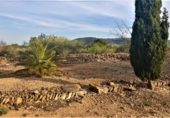 Casa de campo con terreno en venta en la España, l'Ametlla de Mar, ref: TR297641 foto