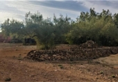 Casa de campo con terreno en venta en la España, l'Ametlla de Mar, ref: TR297641 foto