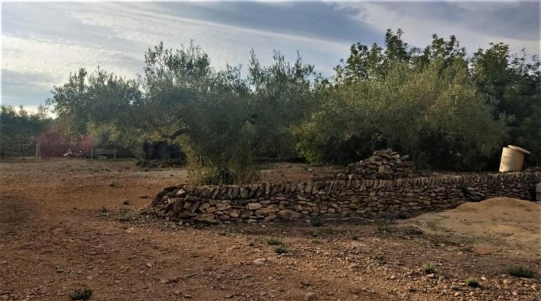 Tarragona - l'Ametlla de Mar - 25674m2