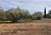 Casa de campo con terreno en venta en la España, l'Ametlla de Mar, ref: TR297641 foto