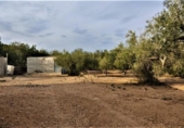 Casa de campo con terreno en venta en la España, l'Ametlla de Mar, ref: TR297641 foto