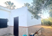 Finca rústica en venda a la España, Alcolea del Río, ref.: TR271430 foto