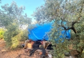 Finca rústica en venda a la España, Alcolea del Río, ref.: TR271430 foto