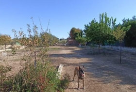 La Carlota 1200&nbsp;м²