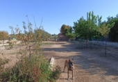 Sòl urbà en venda a la España, La Carlota, ref.: TR368070 foto