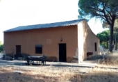 Detached villa with land for sale on España, Villanueva de Duero, ref: TR301052 photo