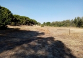Detached villa with land for sale on España, Villanueva de Duero, ref: TR301052 photo