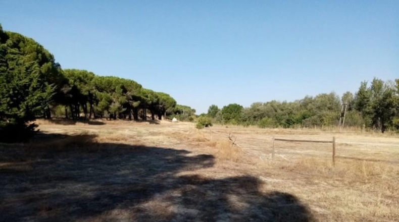 Valladolid - Вильянуэва-де-Дуэро - 14000m2