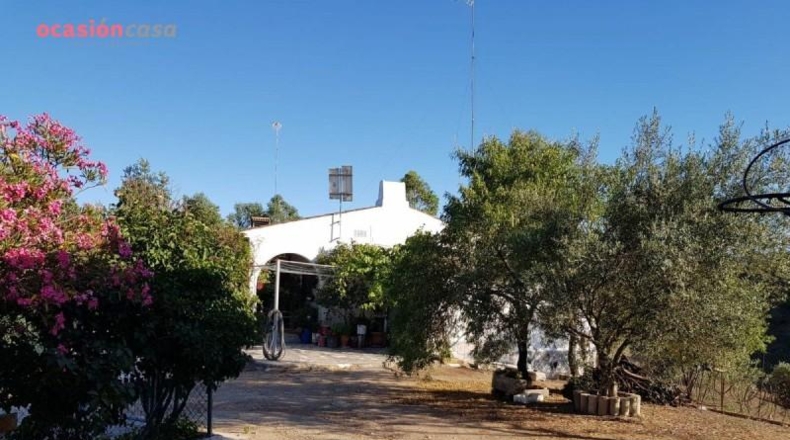Córdoba - Pozoblanco - 25000m2