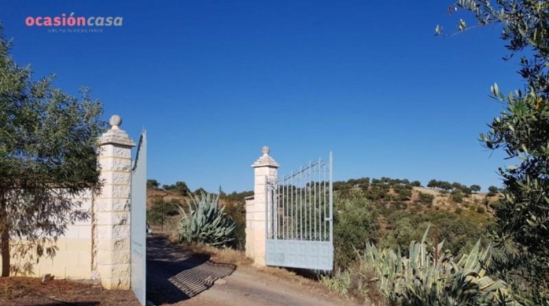 Córdoba - Pozoblanco - 25000m2