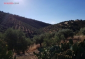 Xalet independent amb terreny en venda a la España, Pozoblanco, ref.: TR352888 foto