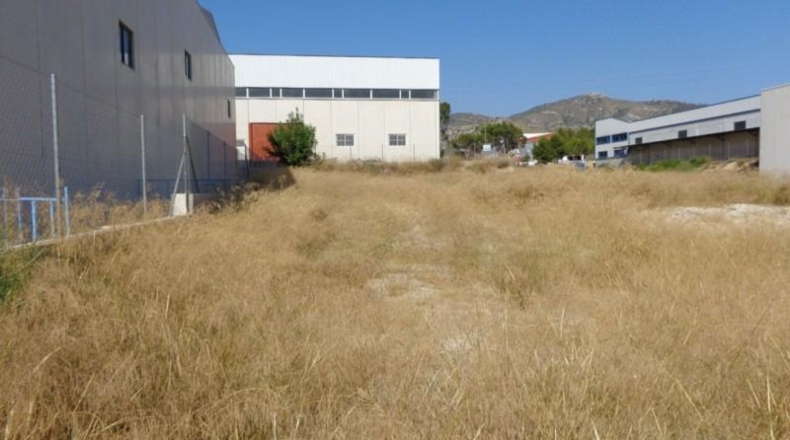 Alicante - Petrer - 1000m2