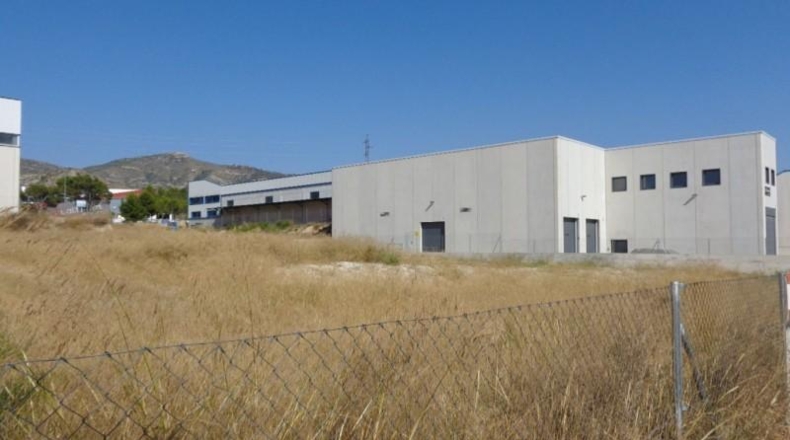 Alicante - Petrer - 1000m2