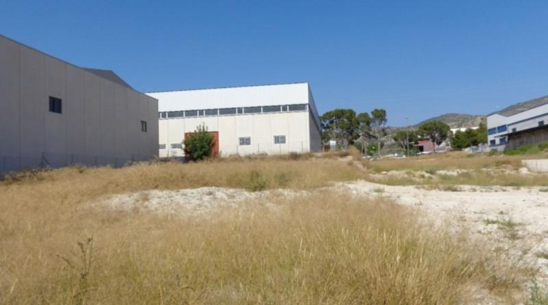Alicante - Petrer - 1000m2