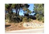 Terreny no urbanitzable en venda a la España, Lloret de Mar, ref.: TR121455 foto