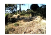 Terreny no urbanitzable en venda a la España, Lloret de Mar, ref.: TR121455 foto