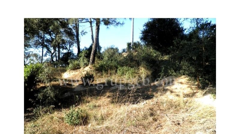 Gerona - Lloret de Mar - 406m2