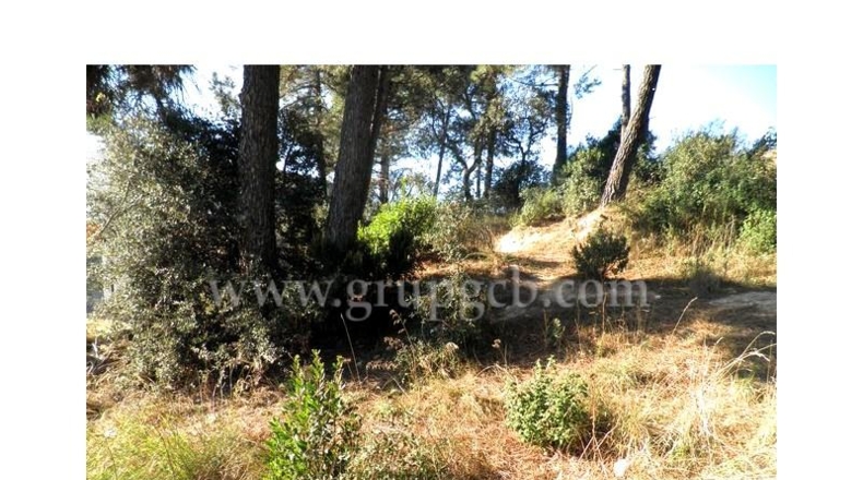 Gerona - Lloret de Mar - 406m2