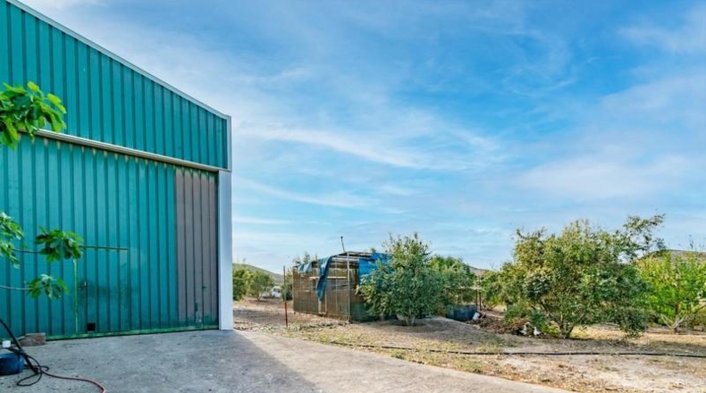 Murcia - Cartagena - 2680m2