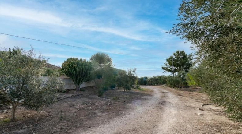 Murcia - Cartagena - 2680m2