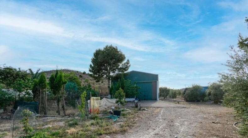 Murcia - Cartagena - 2680m2